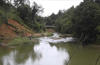 Green Tribunal censures state, Union Governments over Yettinahole